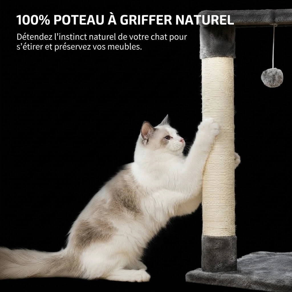 ALTO arbre a chat plafond 2 Image