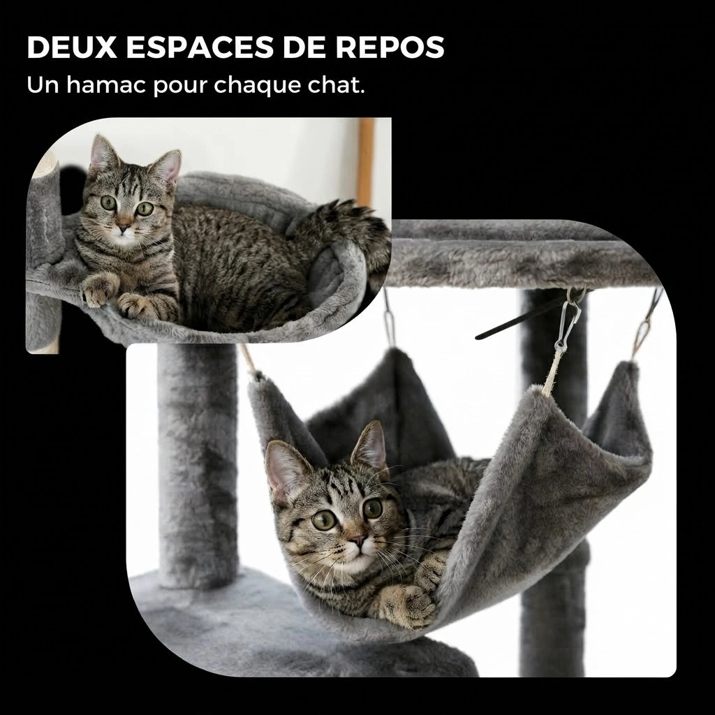 ALTO arbre a chat plafond 3 Image