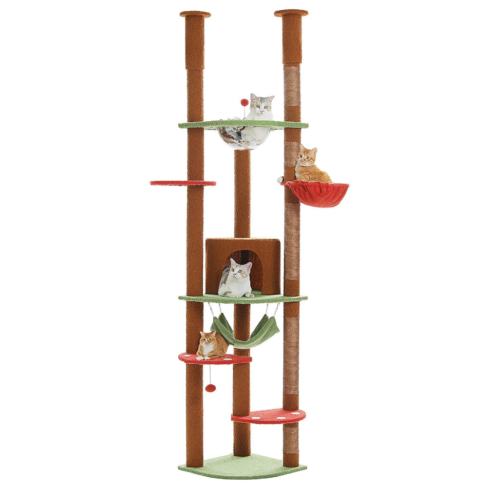 ALTO arbre a chat plafond marron avec 4 chats