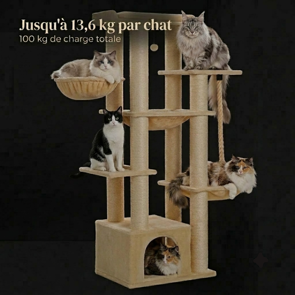 Capacite de l arbre a chat ATLAS Image