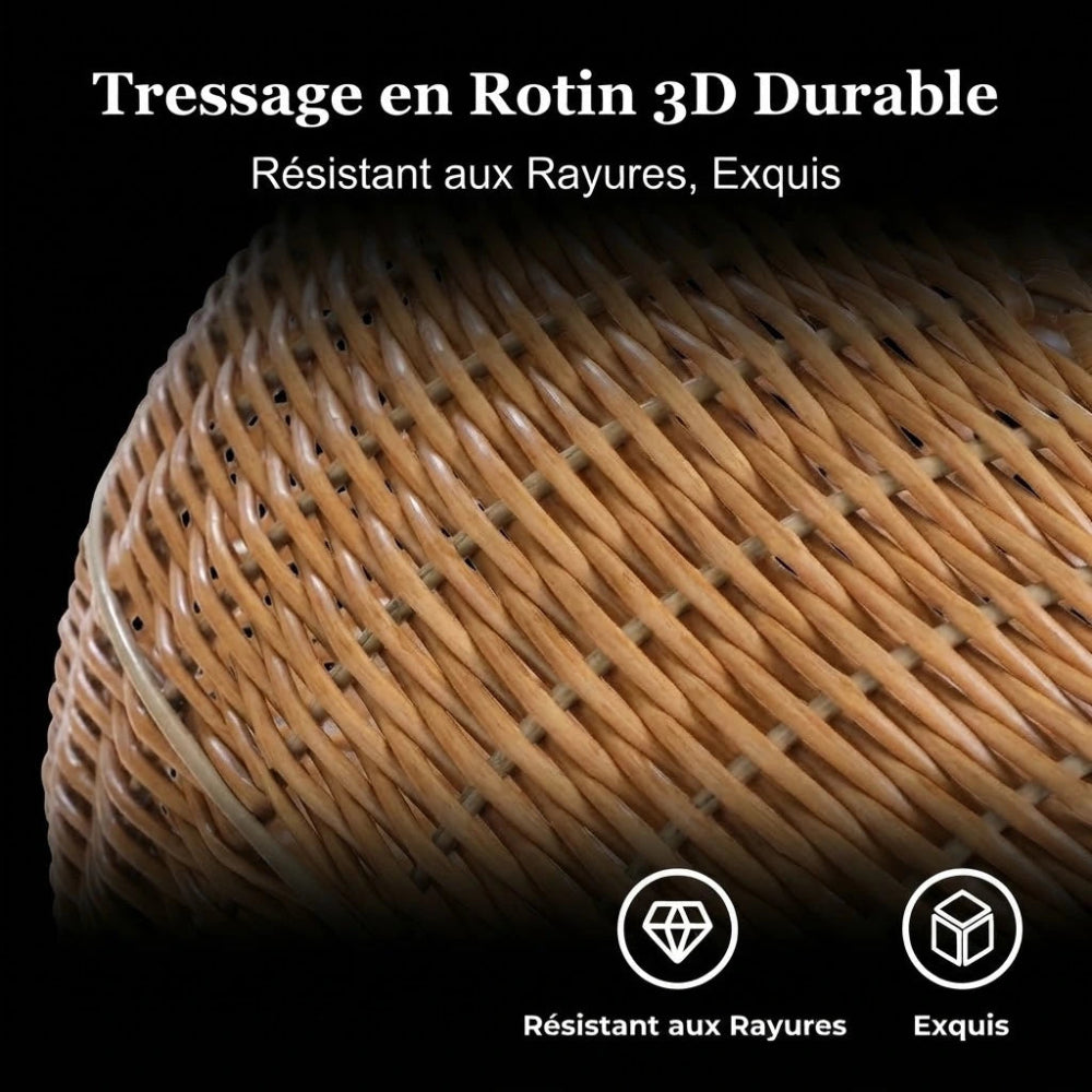DINO arbre a chat design 3 Image