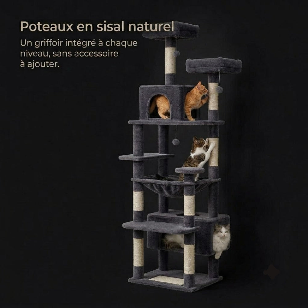 Griffoir sur l'arbre a chat SORA avec des chats utilisant les griffoirs Image
