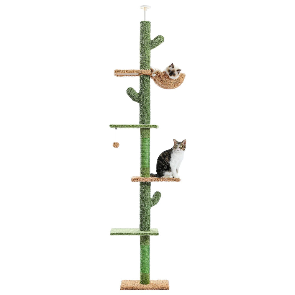 Jora l arbre a chat plafond en forme de cactus vert avec 2 chats