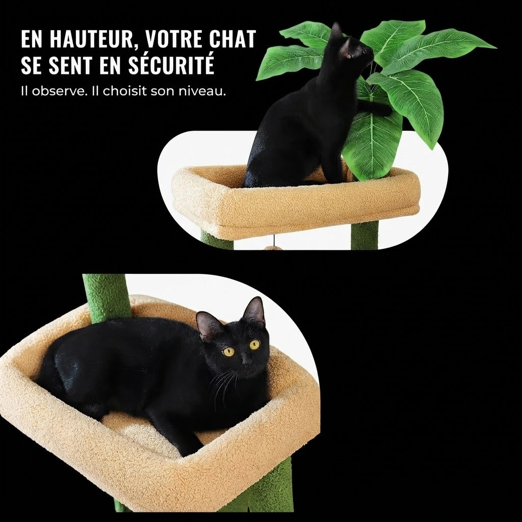 LUNO arbre a chat xxl 2 Image