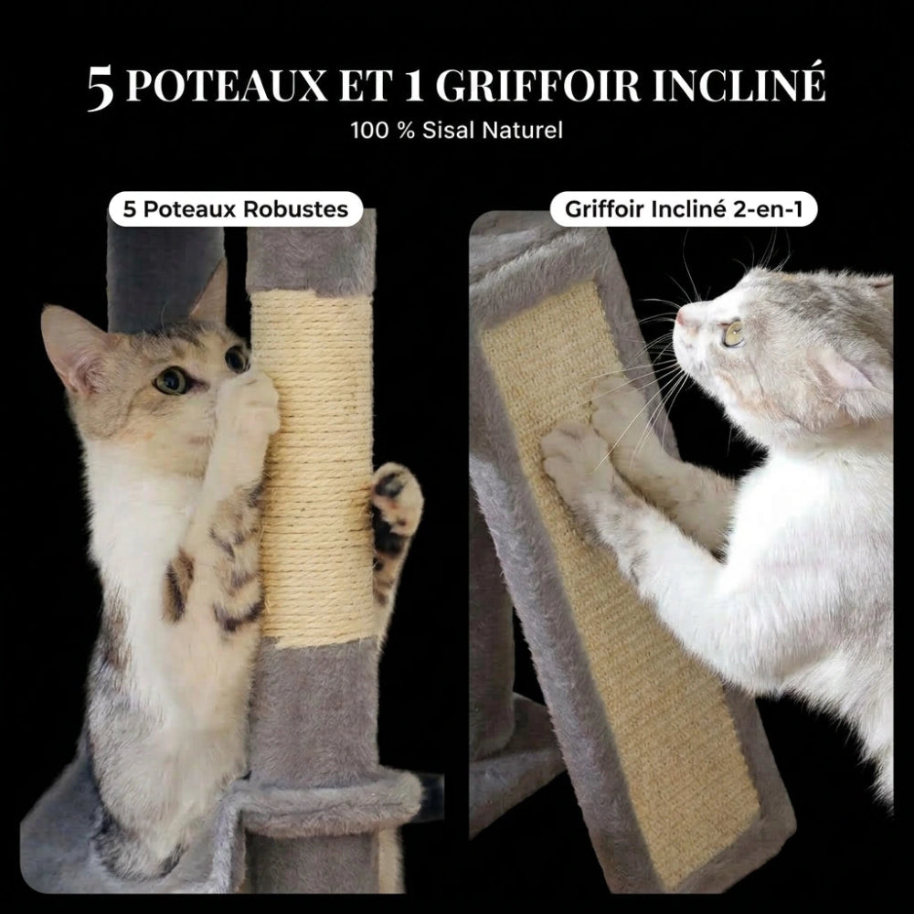 MAHO Arbre a chat plafond 2 Image