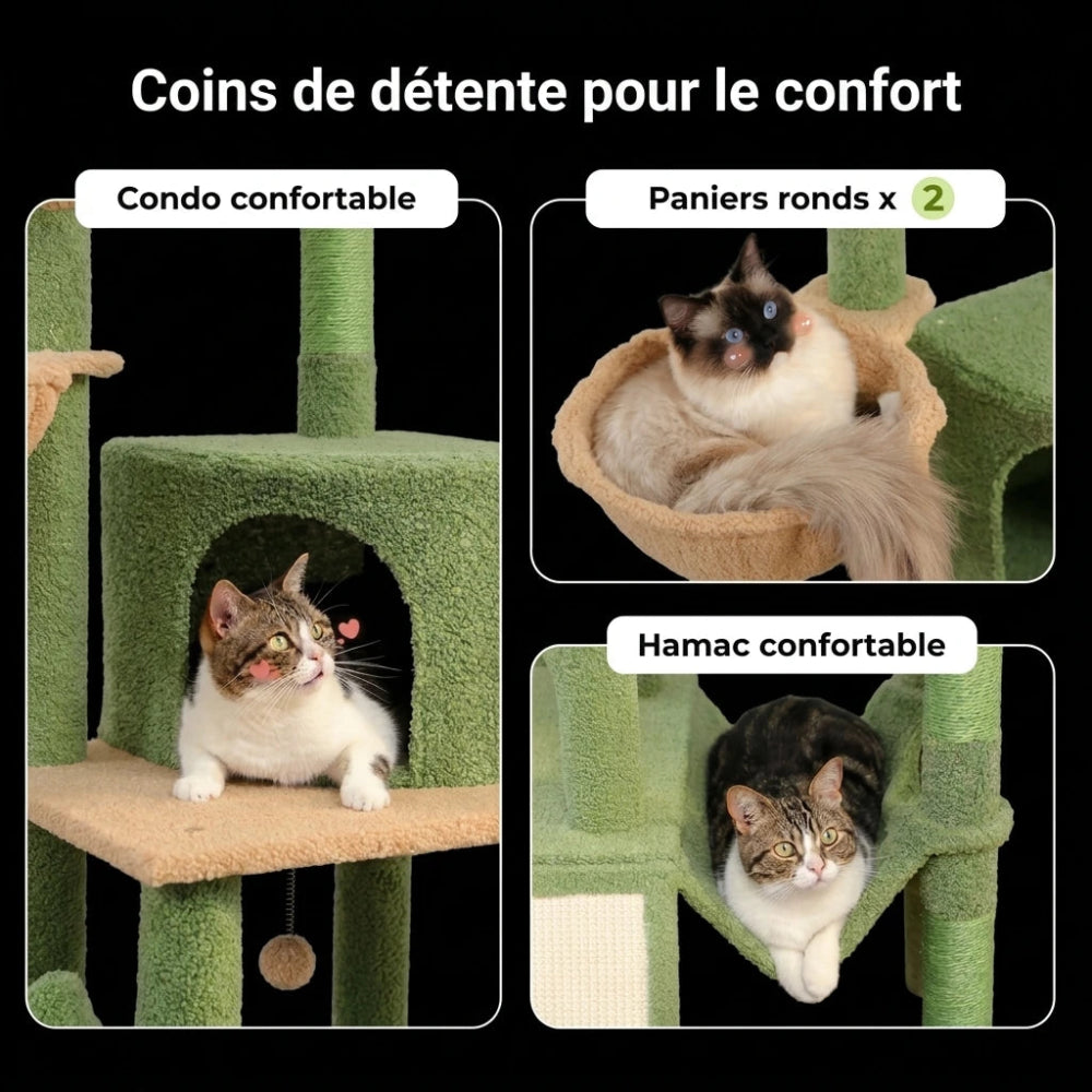 MAHO Arbre a chat plafond 3 Image