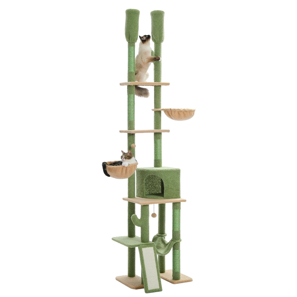 MAHO arbre a chat plafond vert avec 2 chats