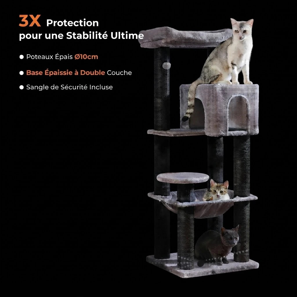 MAKI arbre a chat main coon 1 Image