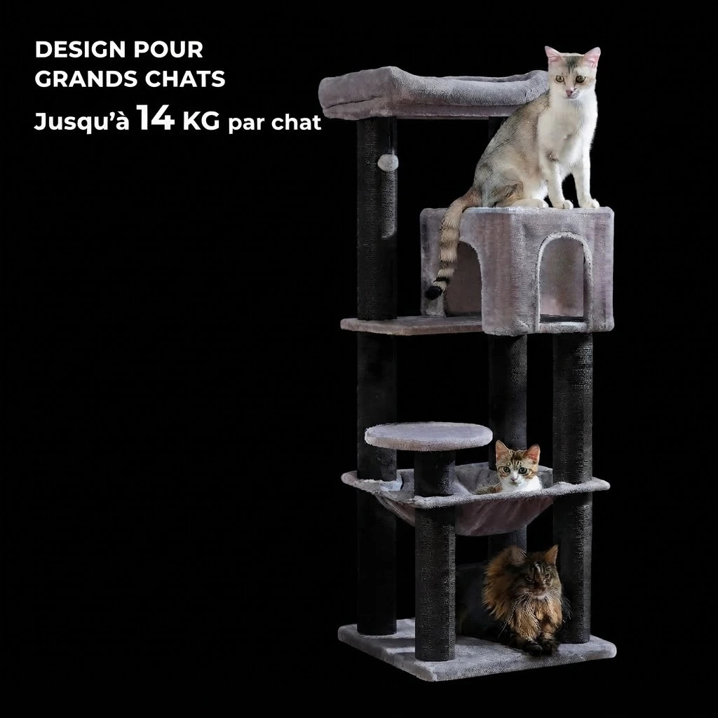 MAKI arbre a chat main coon 2 Image