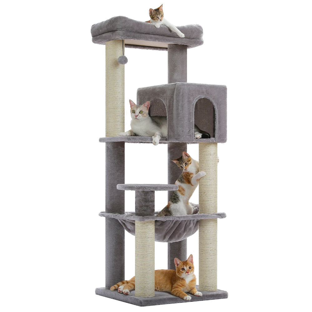 MAKI arbre a chat maine coon