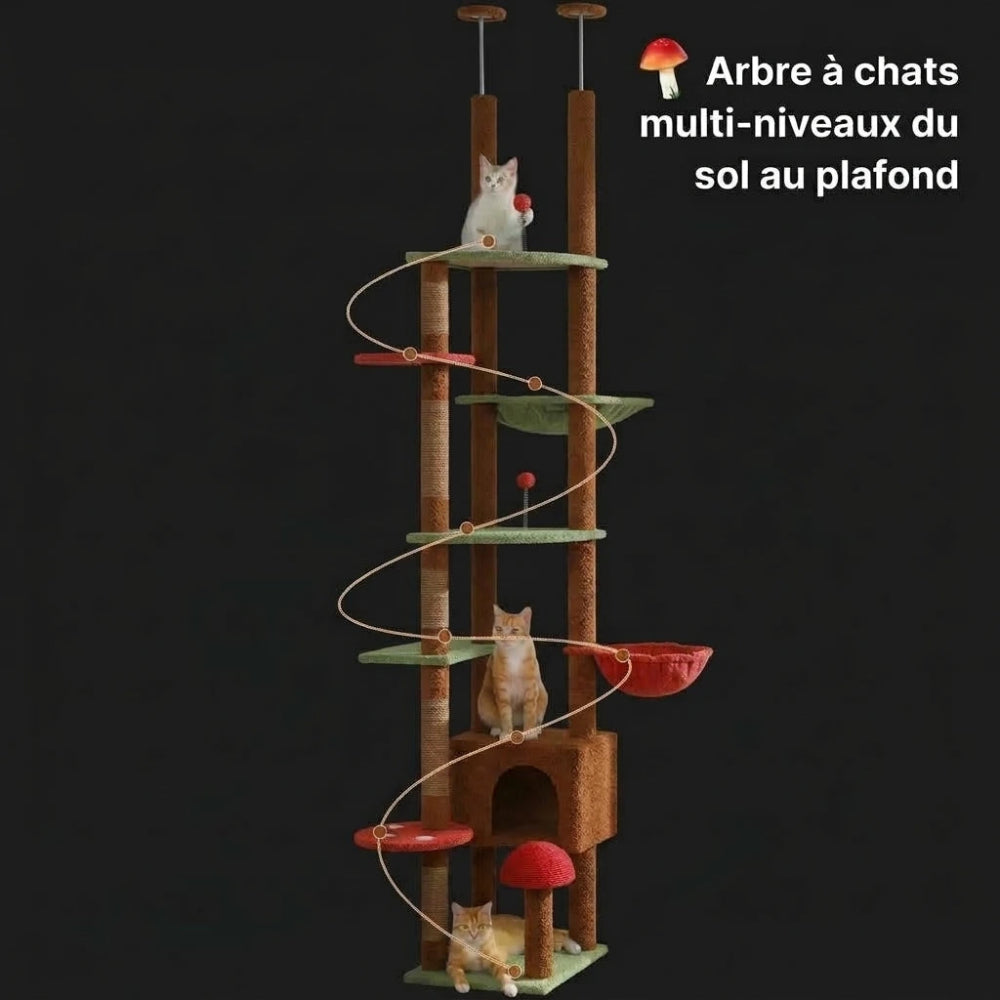NORI arbre a chat plafond 1 Image