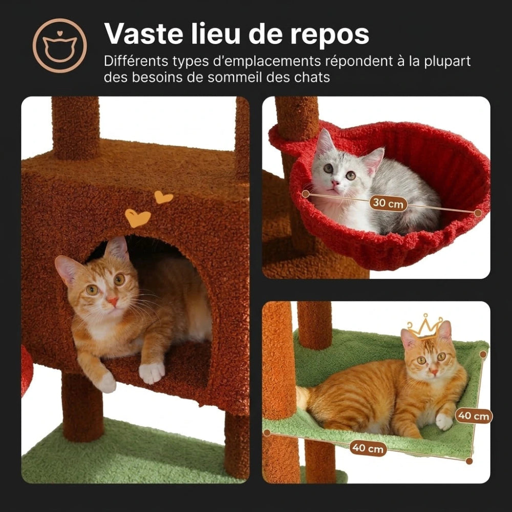 NORI arbre a chat plafond 2 Image