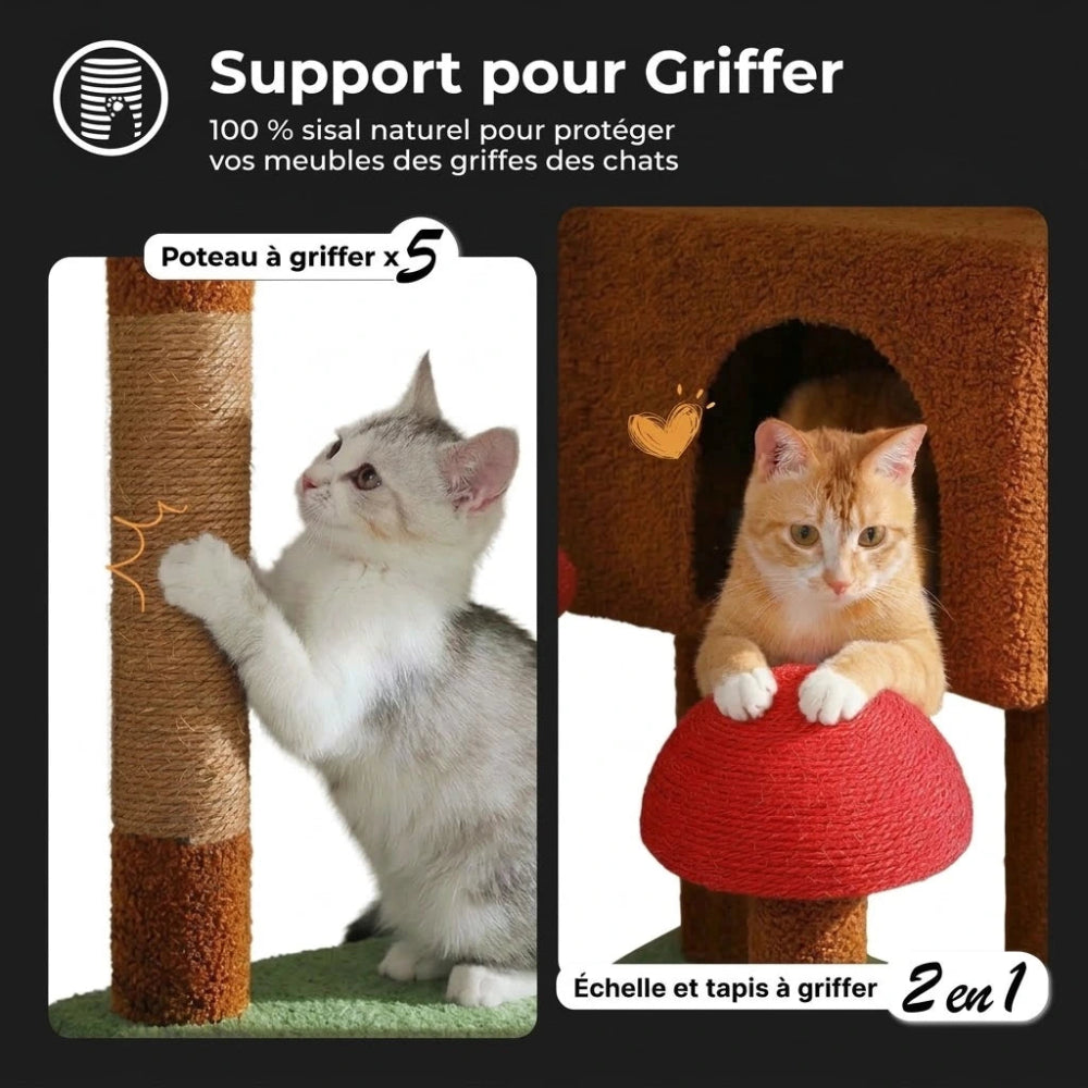 NORI arbre a chat plafond 3 Image