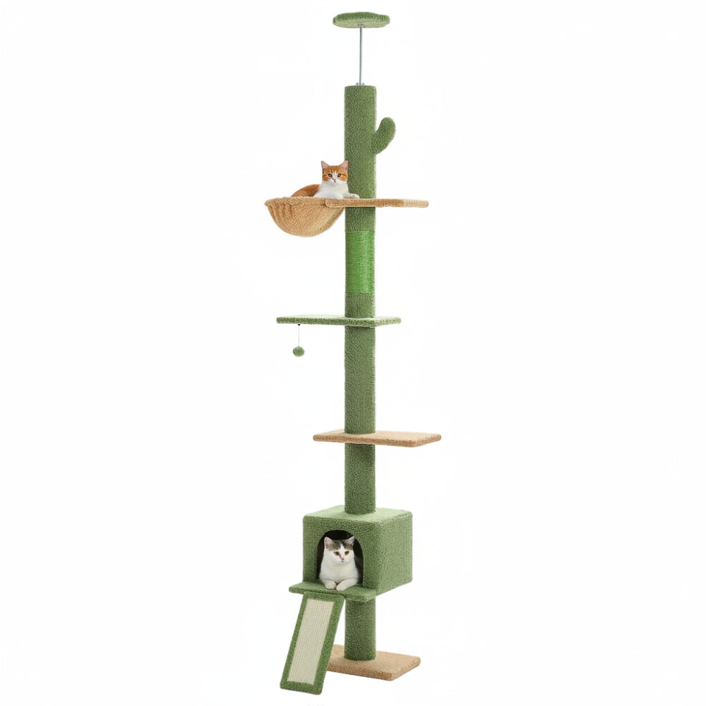 PILO arbre a chat cactus avec 2 chats