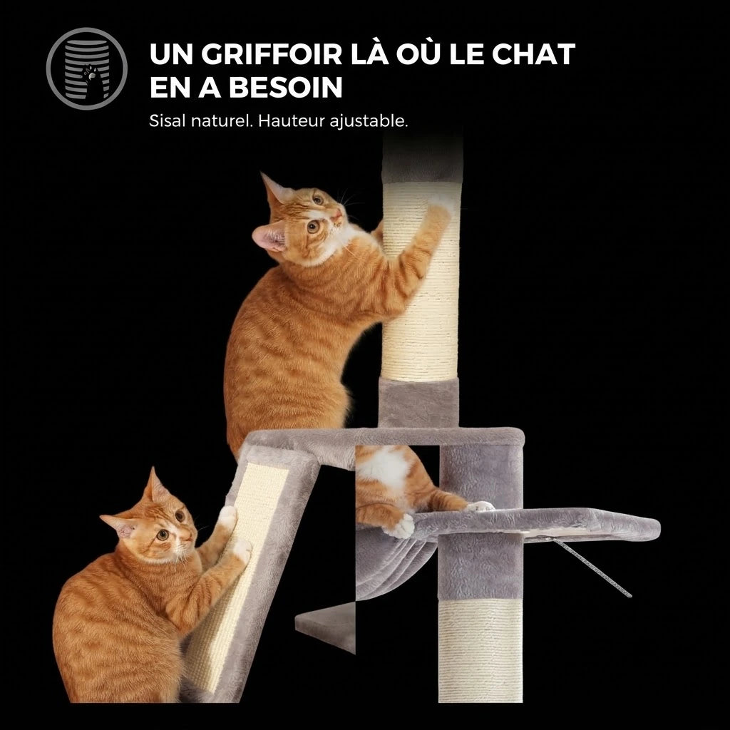 PILO arbre a chat plafond 2 Image