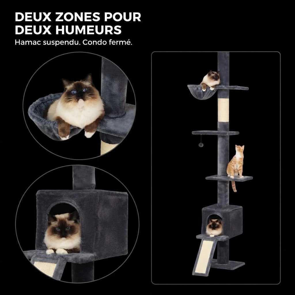PILO arbre a chat plafond 3 Image