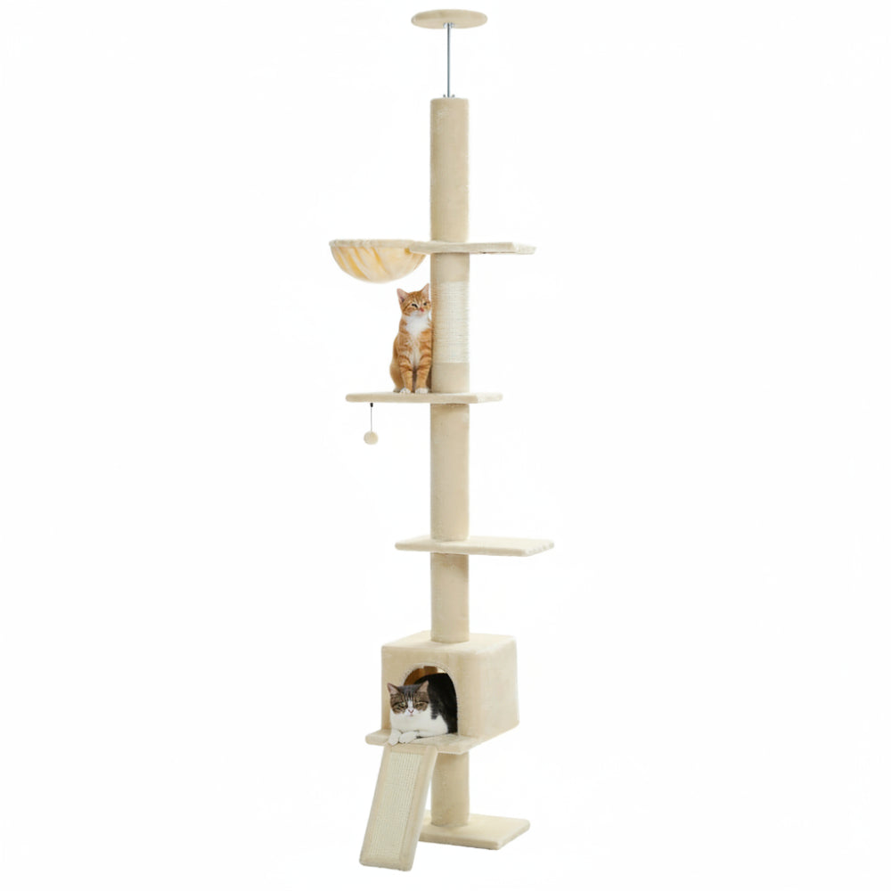 PILO arbre a chat plafond beige Image
