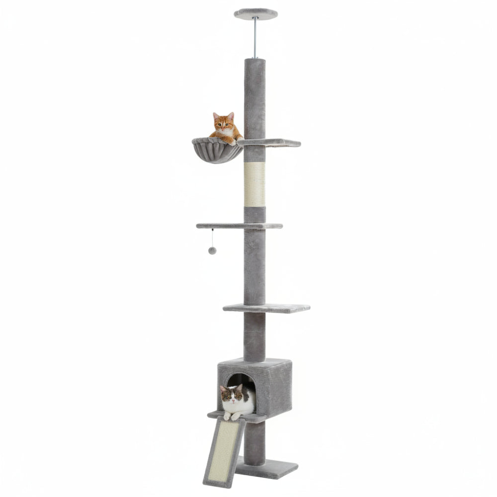PILO arbre a chat plafond gris avec 2 chats