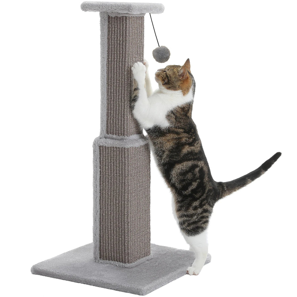 RIKU griffoir a chat gris avec un chat