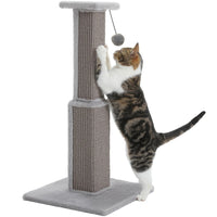 RIKU griffoir a chat gris avec un chat