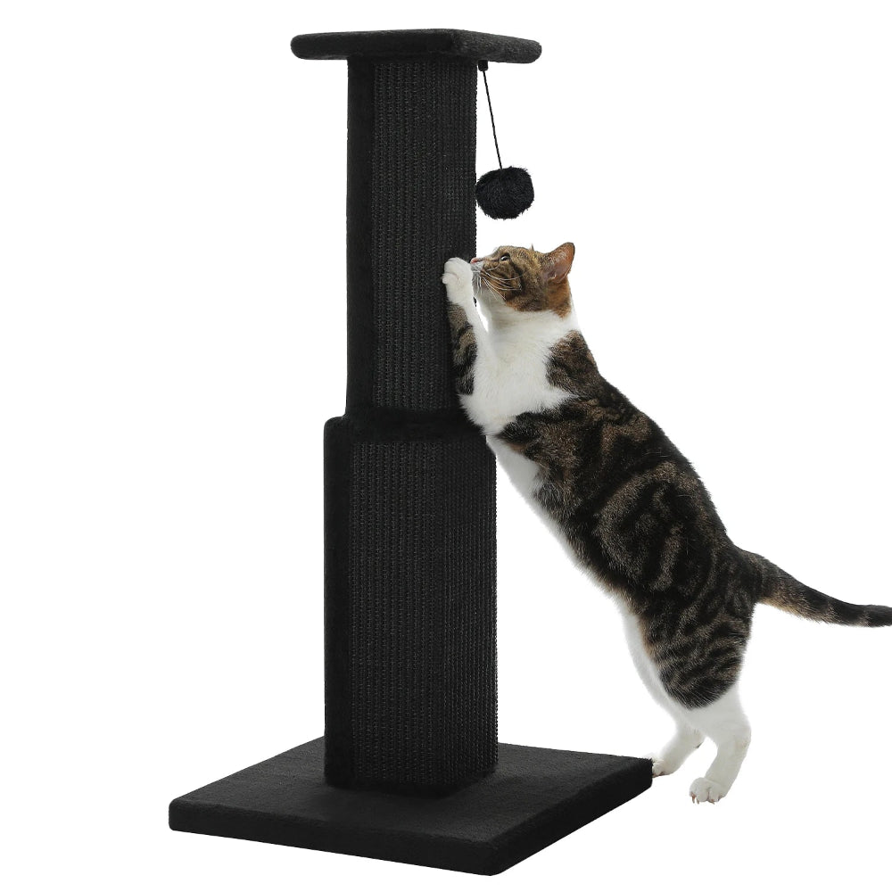 RIKU griffoir a chat noir avec un chat