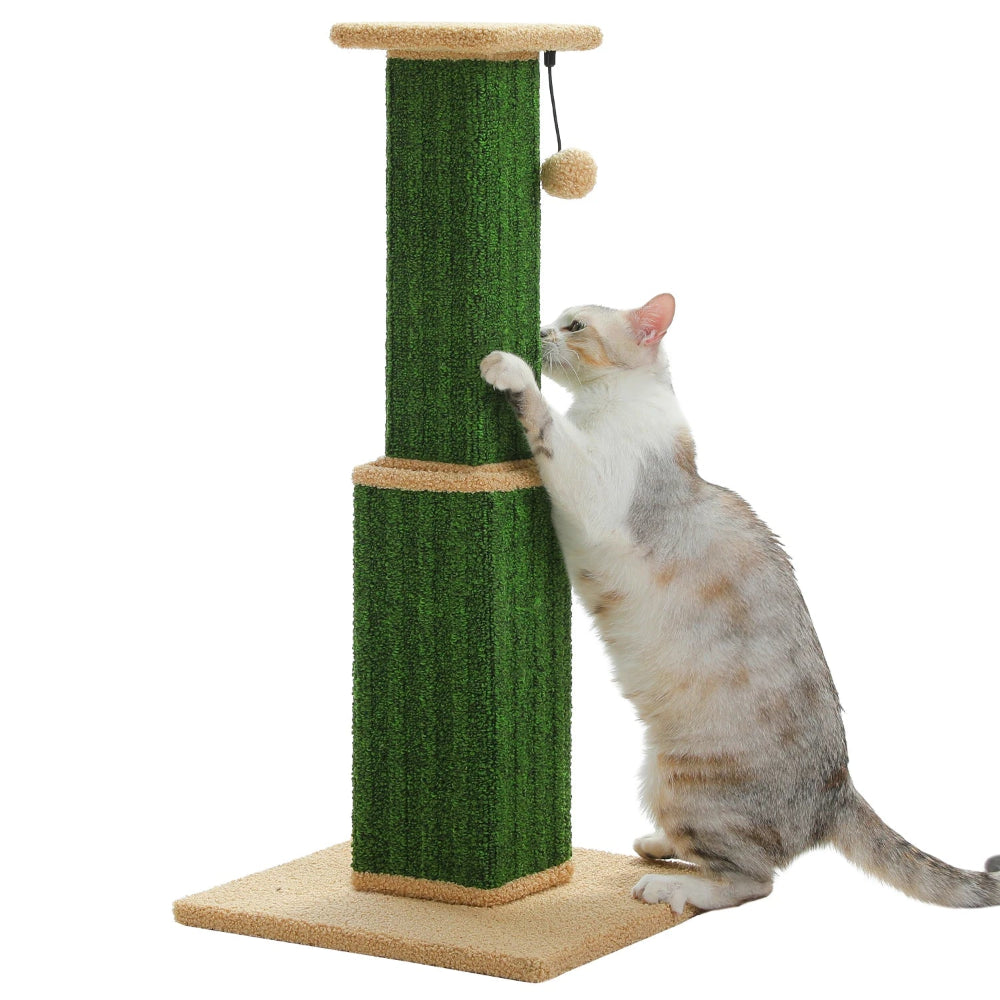 RIKU griffoir a chat vert avec un chat
