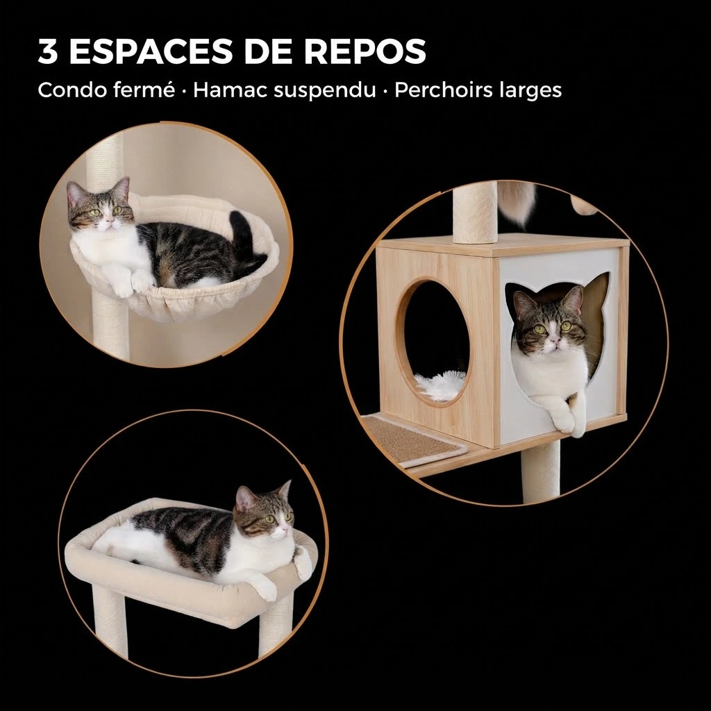 TEKA arbre a chat en bois 2 Image