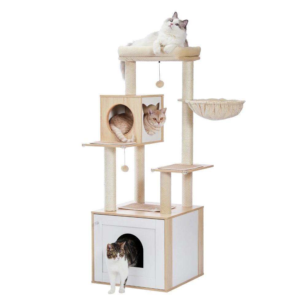 TEKA arbre a chat litiere avec 3 chats