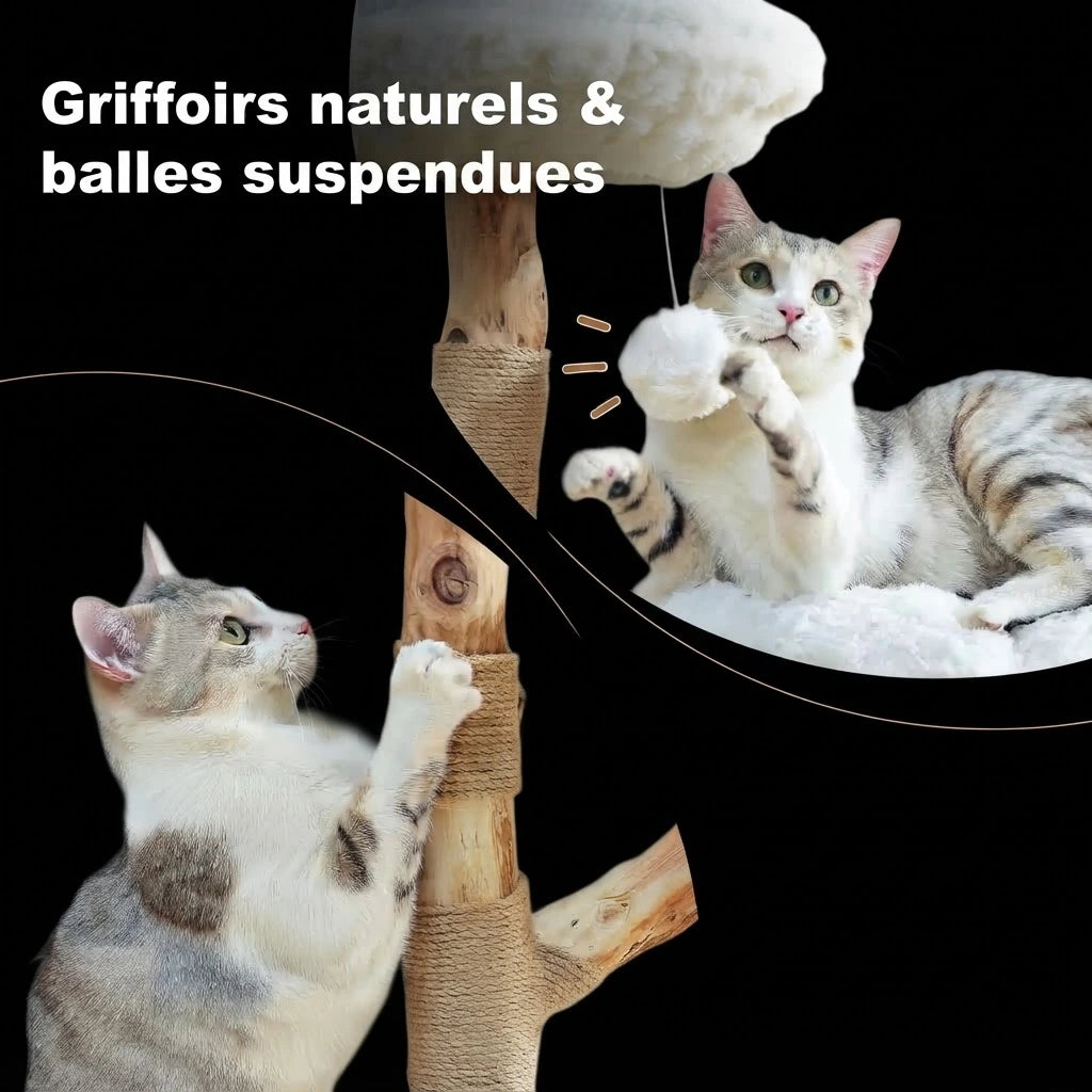 YORI arbre a chat design 2 Image