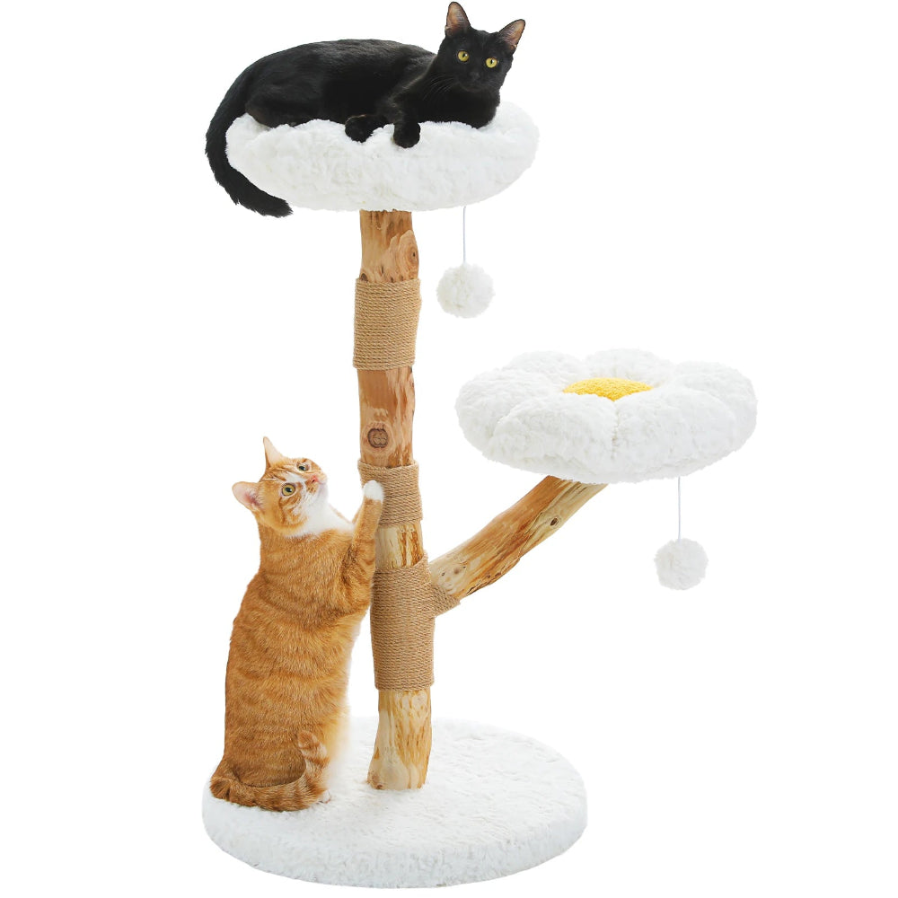 YORI arbre a chat fleur avec 2 chats