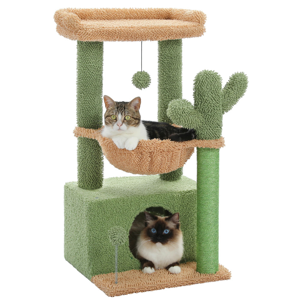 YUKI petit arbre a chat cactus avec 2 chats