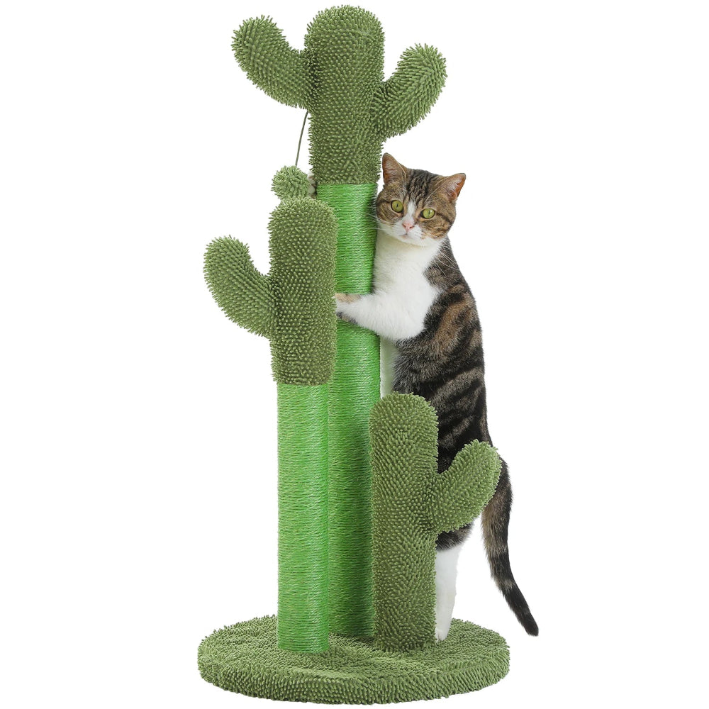 YUKO griffoir a chat vert cactus