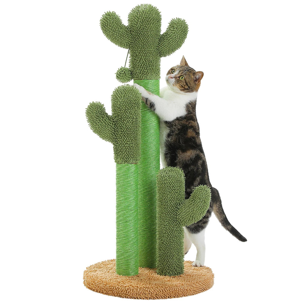 YUKO griffoir a chat vert cactus