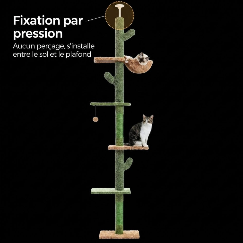 fixation de l arbre a chat jora Image